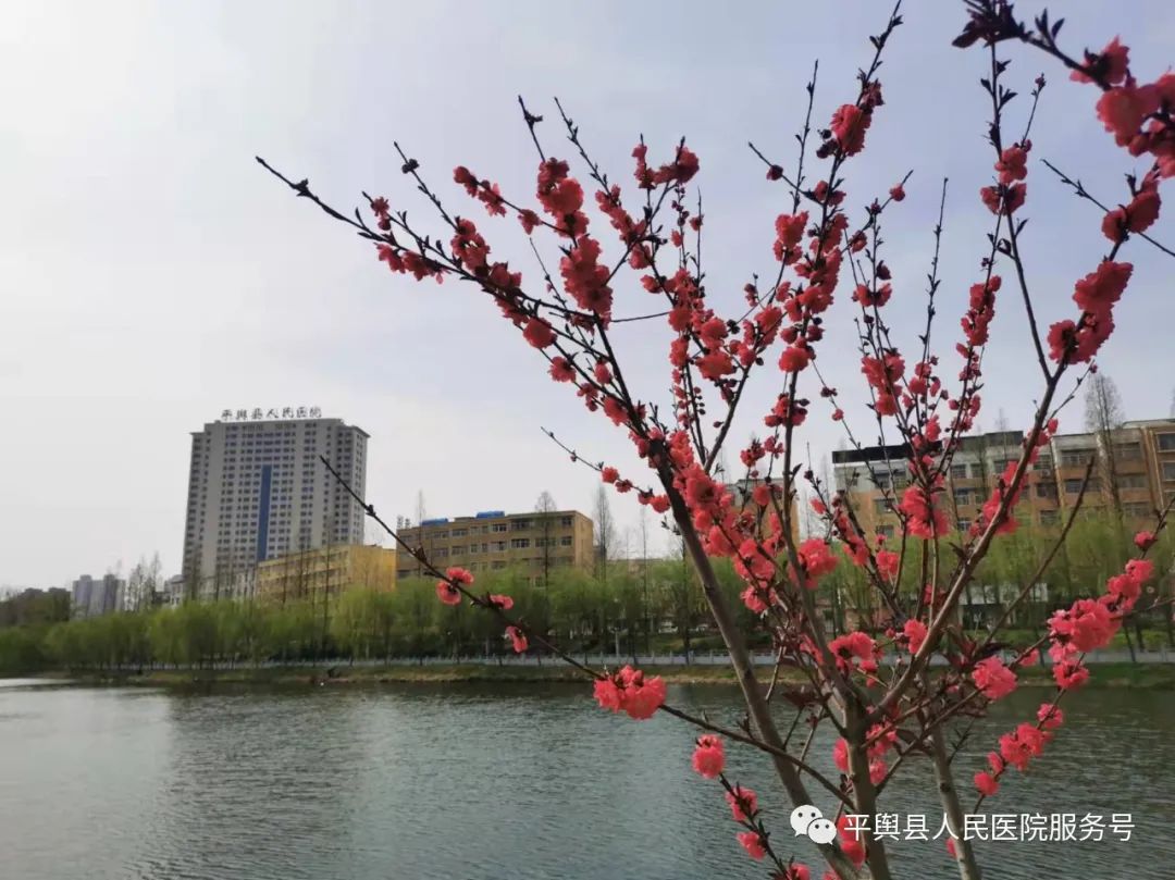 微信图片_20220402091311.jpg