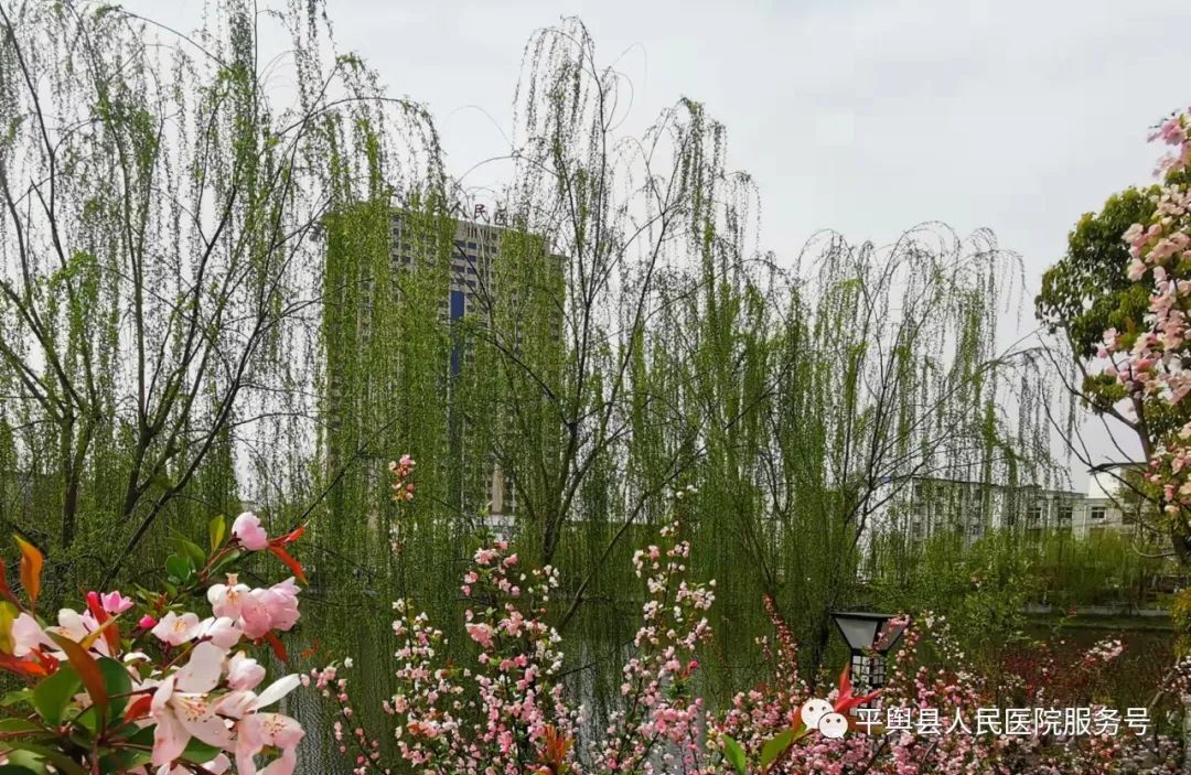 微信图片_20220402092619.jpg