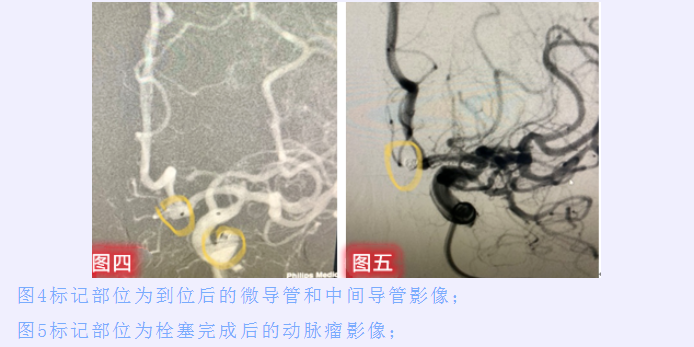 微信图片_20220616163210.png