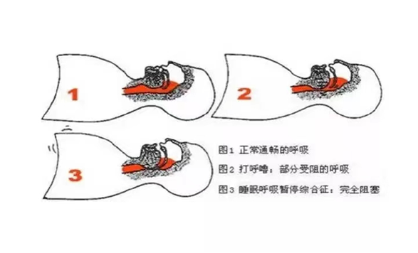 微信图片_20220630154828.png